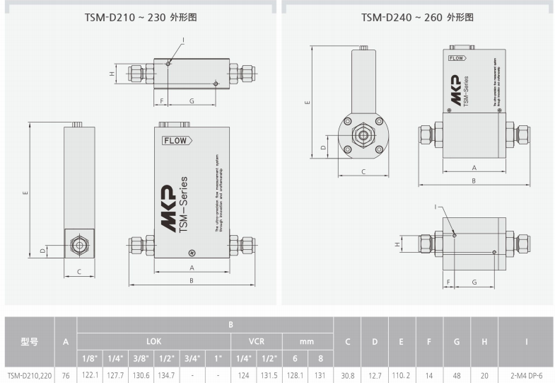 TSM-D210质量流量计产品外形图和参数.png